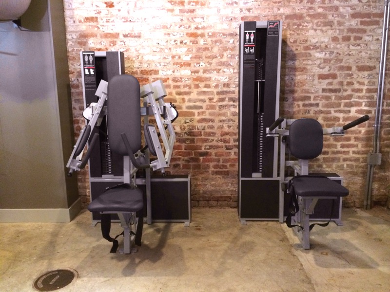 MedX Lateral Raise and Seated Dip